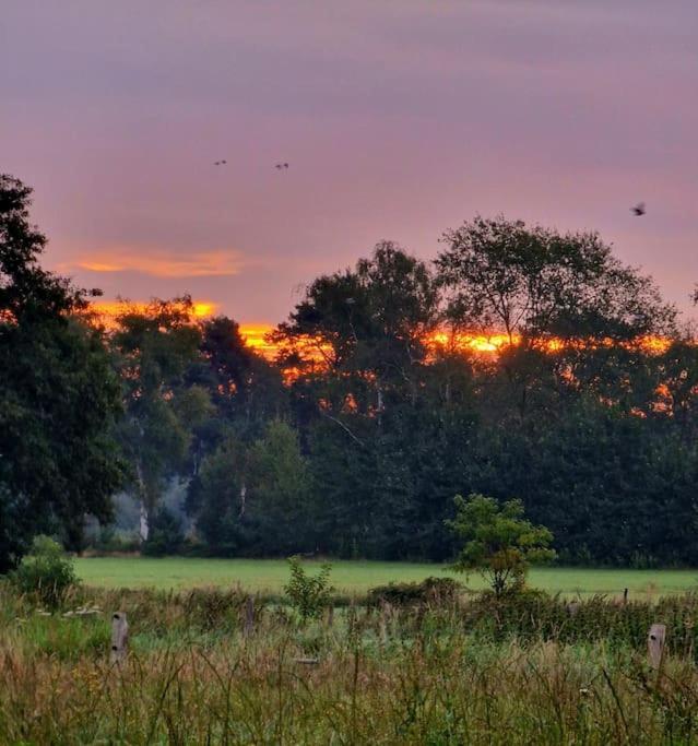 Whispering O - B&B Ermelo Speuld On The Veluwe المظهر الخارجي الصورة