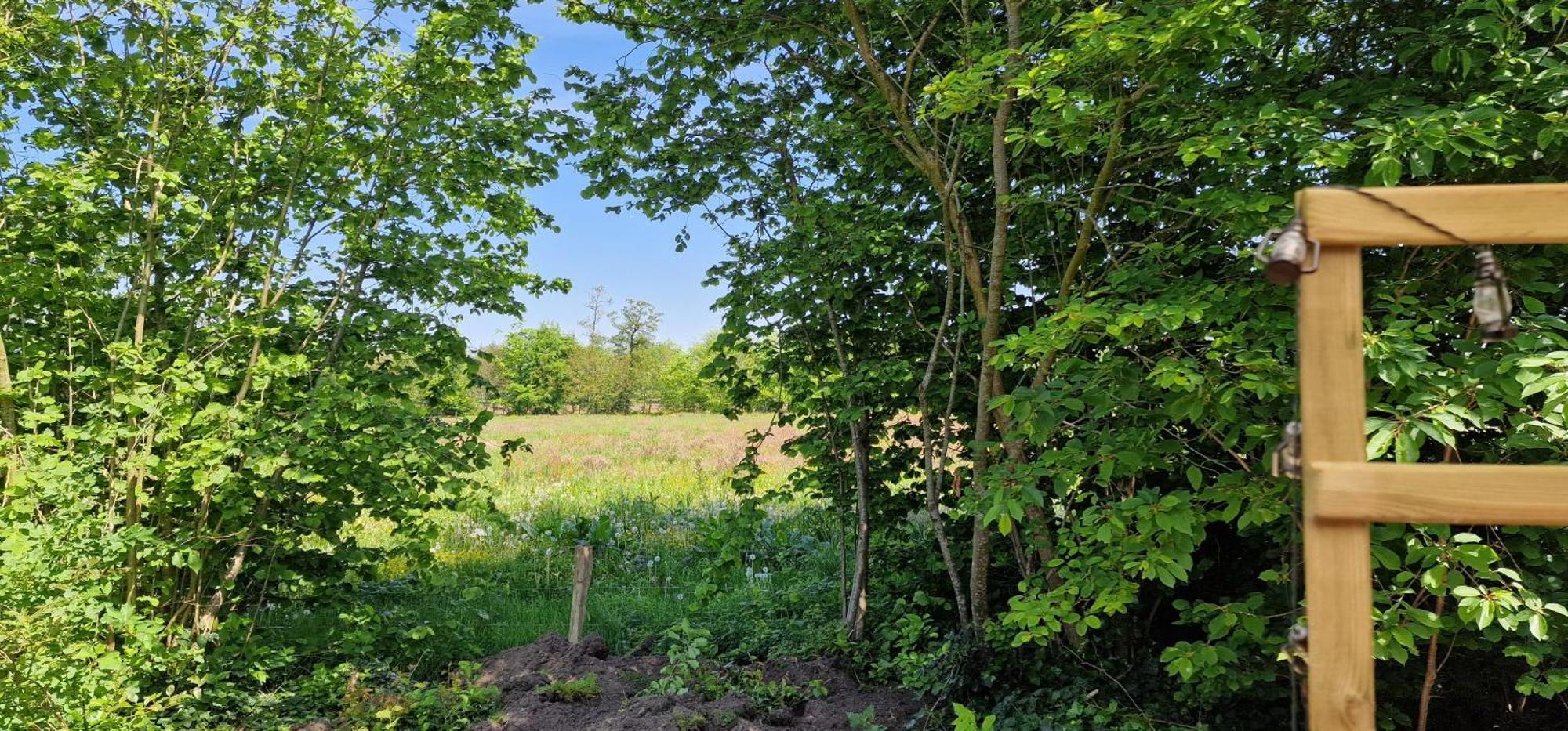 Whispering O - B&B Ermelo Speuld On The Veluwe المظهر الخارجي الصورة