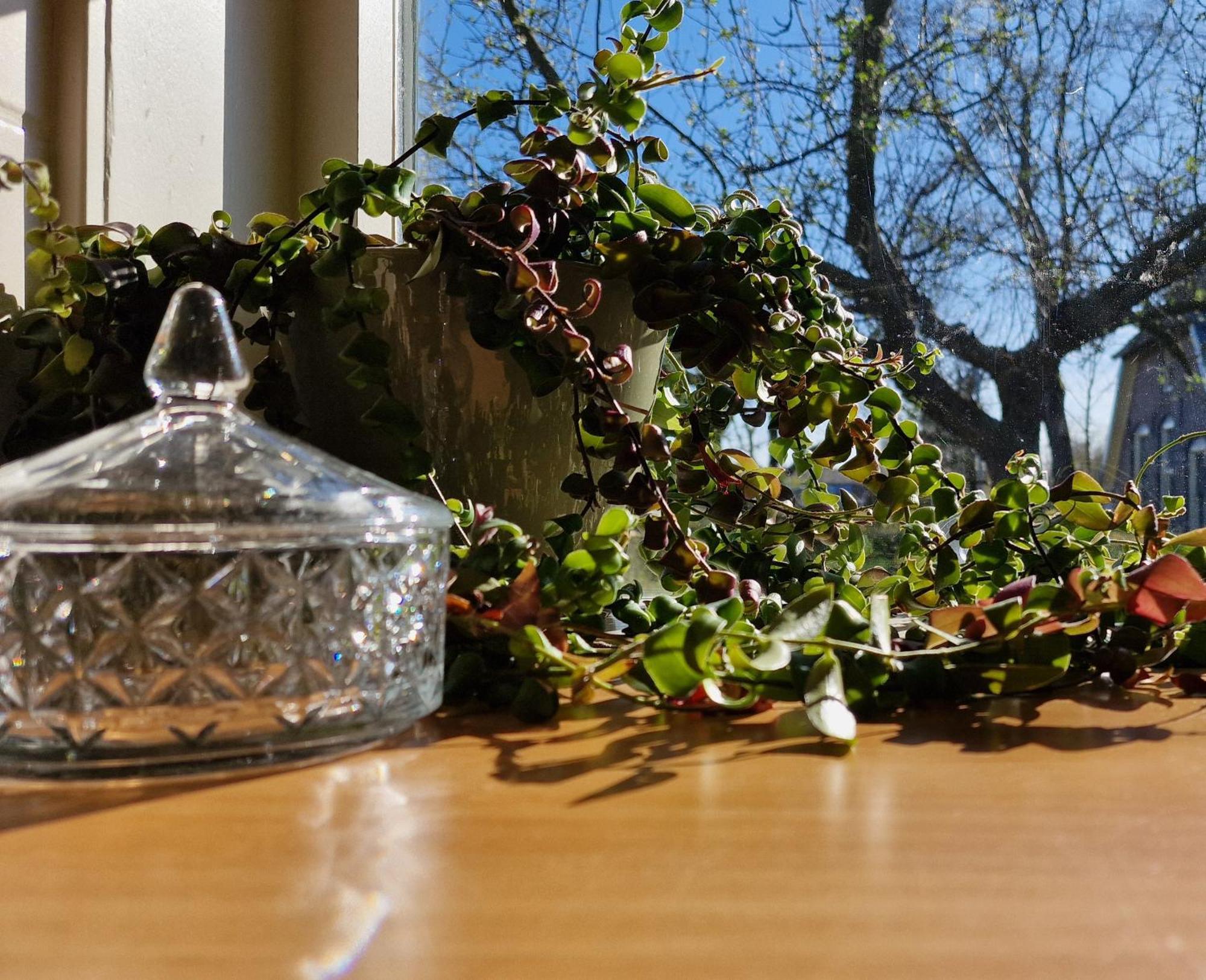 Whispering O - B&B Ermelo Speuld On The Veluwe المظهر الخارجي الصورة
